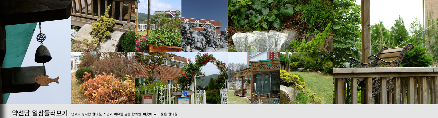 약선당 일상둘러보기
