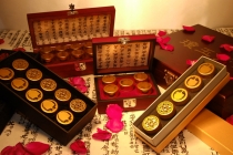  '공진단' 인터뷰